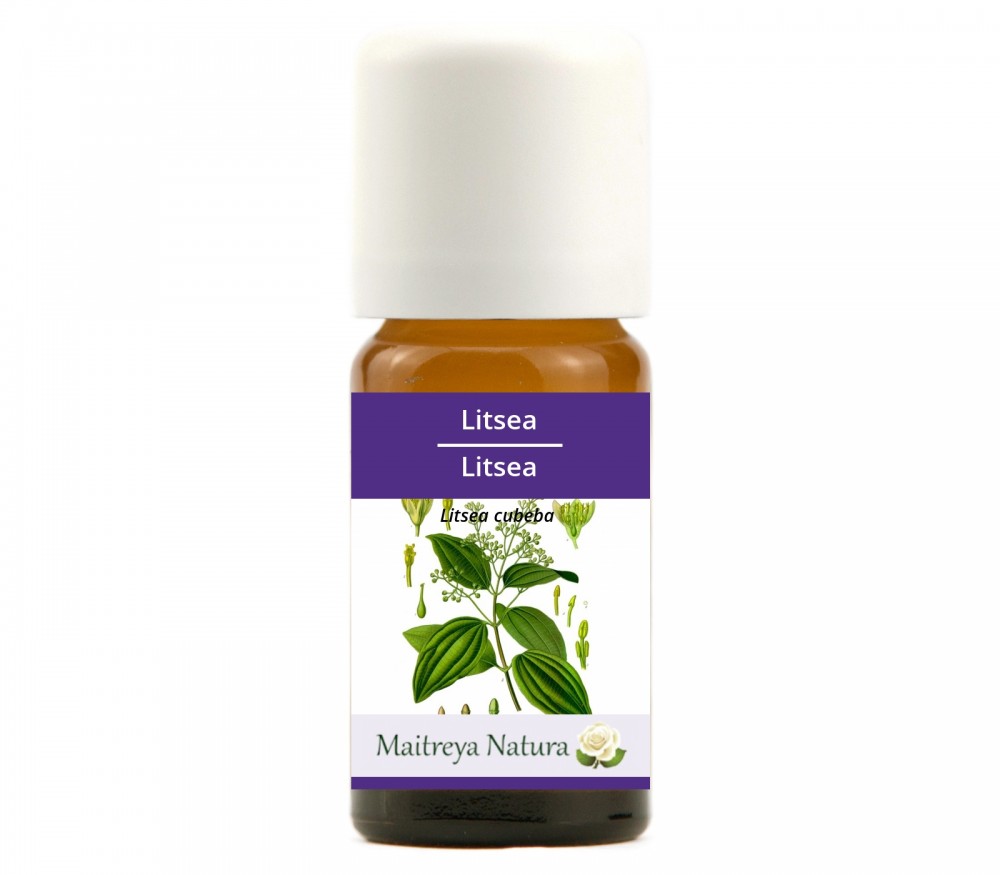 Online kaufen: Litsea Online kaufen: Litsea