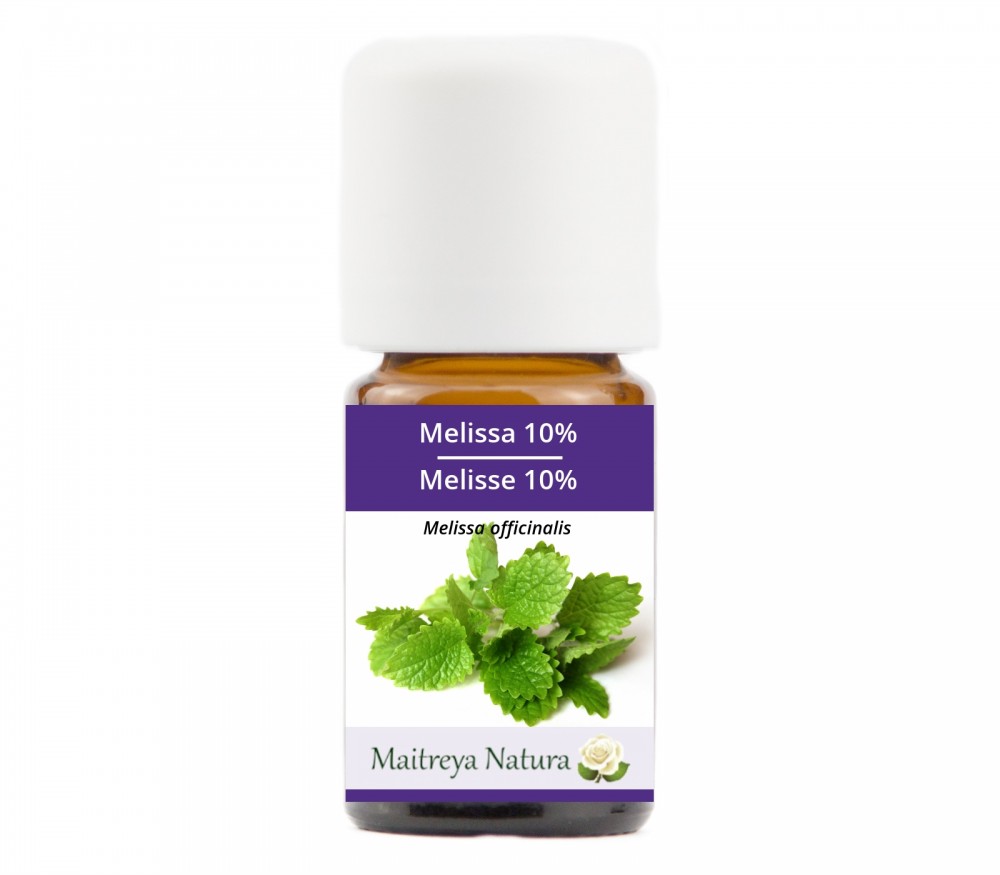 Online kaufen: Melisse 20% Online kaufen: Melisse 20%